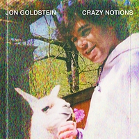 Crazy Notions by Jon Goldstein